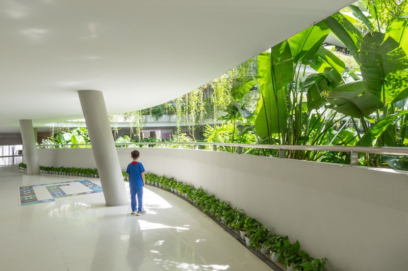 Circulation balcony with white planters containing banana palms and trailing vines with a child observing the greenery