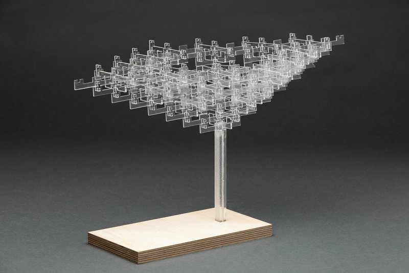 Transparent acrylic model of a branching canopy structure on a plywood base against grey