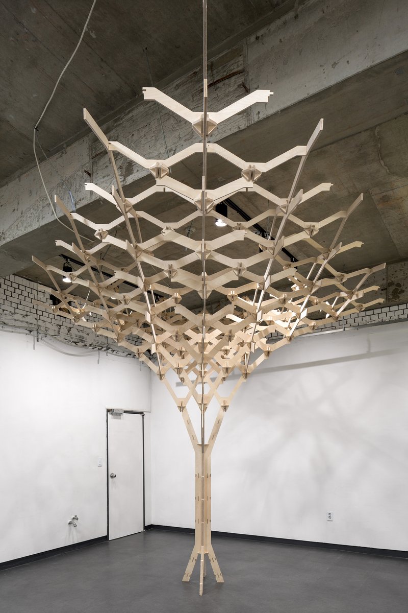 Timber canopy installation with suspended cable supports meeting at a central trunk in a white gallery space