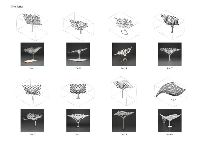 Series of isometric drawings and photographs showing eight variations of tree-inspired timber structures