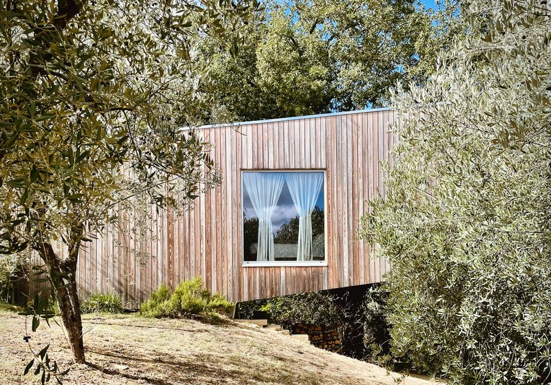Vertical timber-clad facade with a single window framed by olive trees under a clear sky