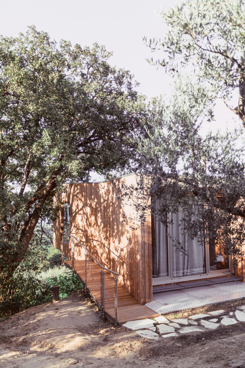 Timber deck and entrance ramp beneath dappled shade from overhanging olive branches at dusk