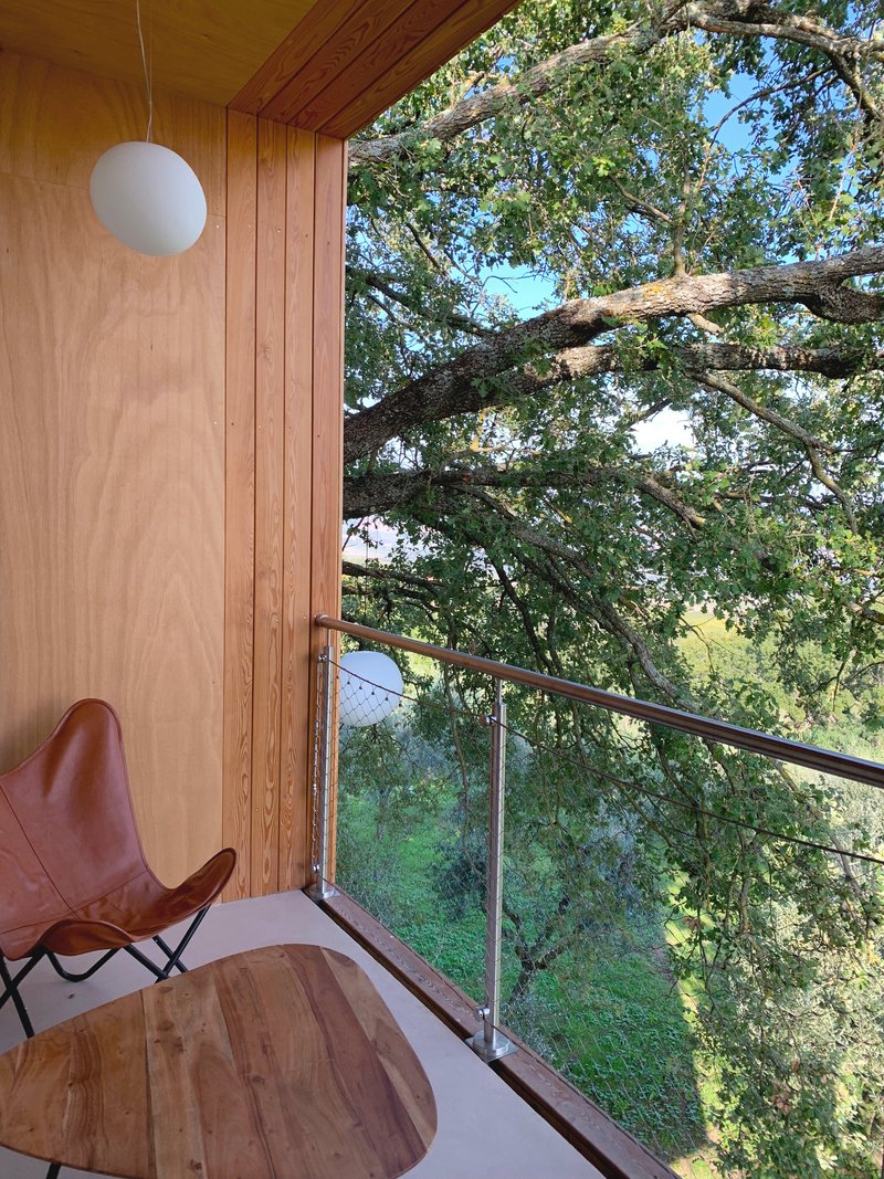 Wood-lined balcony with glass railing and leather chair overlooking tree canopy in afternoon light