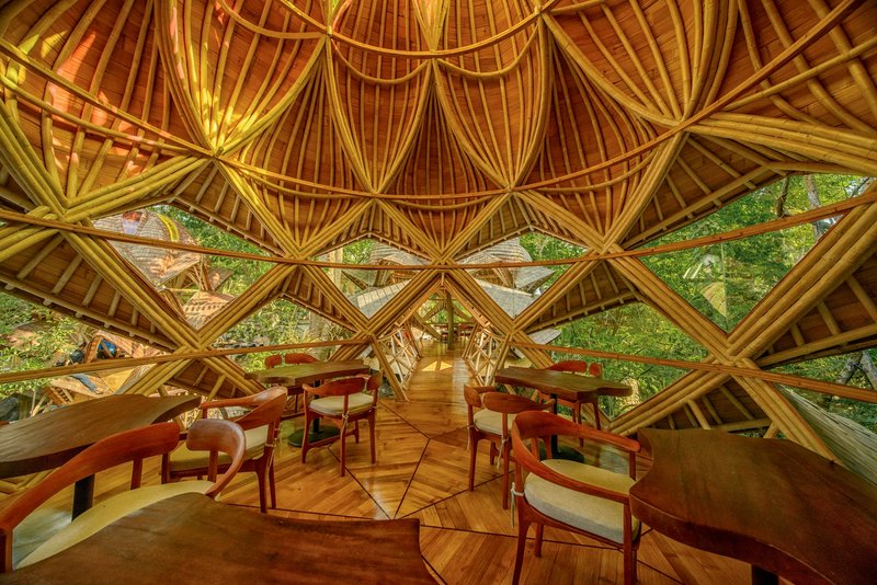 Dining room interior with radial timber framing creating triangular windows open to surrounding tree canopy