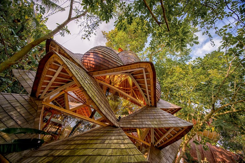 Upward view of exposed timber lattice structure supporting clustered dome roofs surrounded by mature trees