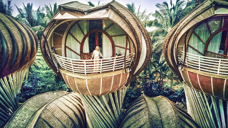 Elevated bamboo pods with ribbed cladding and horizontal railings nestled among palm trees