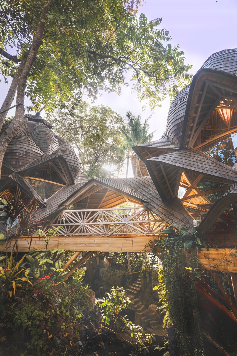 Upward view of layered bamboo volumes with geometric openings beneath overhanging tree branches at dusk