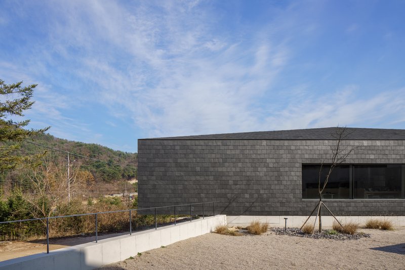 Dark slate-clad facade with planted gravel courtyard and young saplings beneath a blue sky