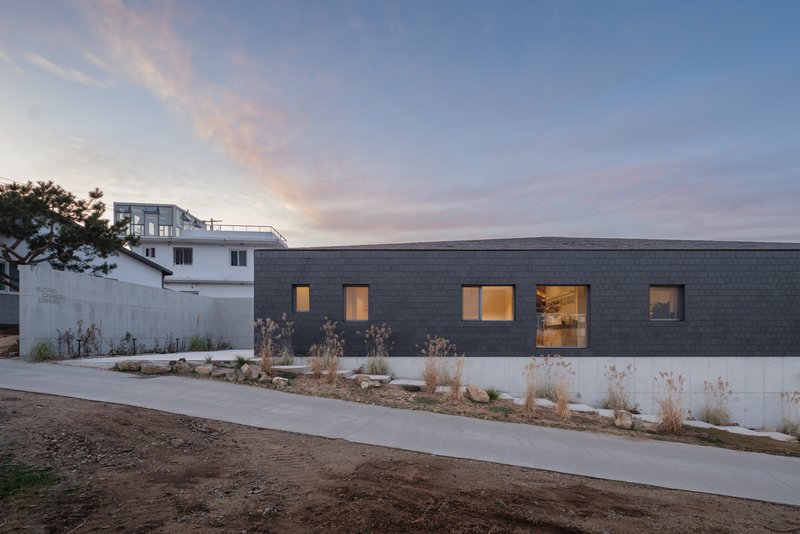Dark tile-clad facade with punched windows and planted bed at dusk