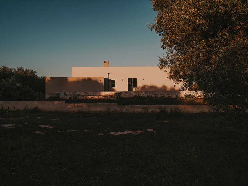 Distant view of the white stucco facade framed by olive trees at sunset