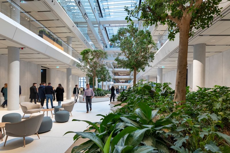Ground floor atrium corridor with mature trees, planters, seating clusters, and skylights above white columns