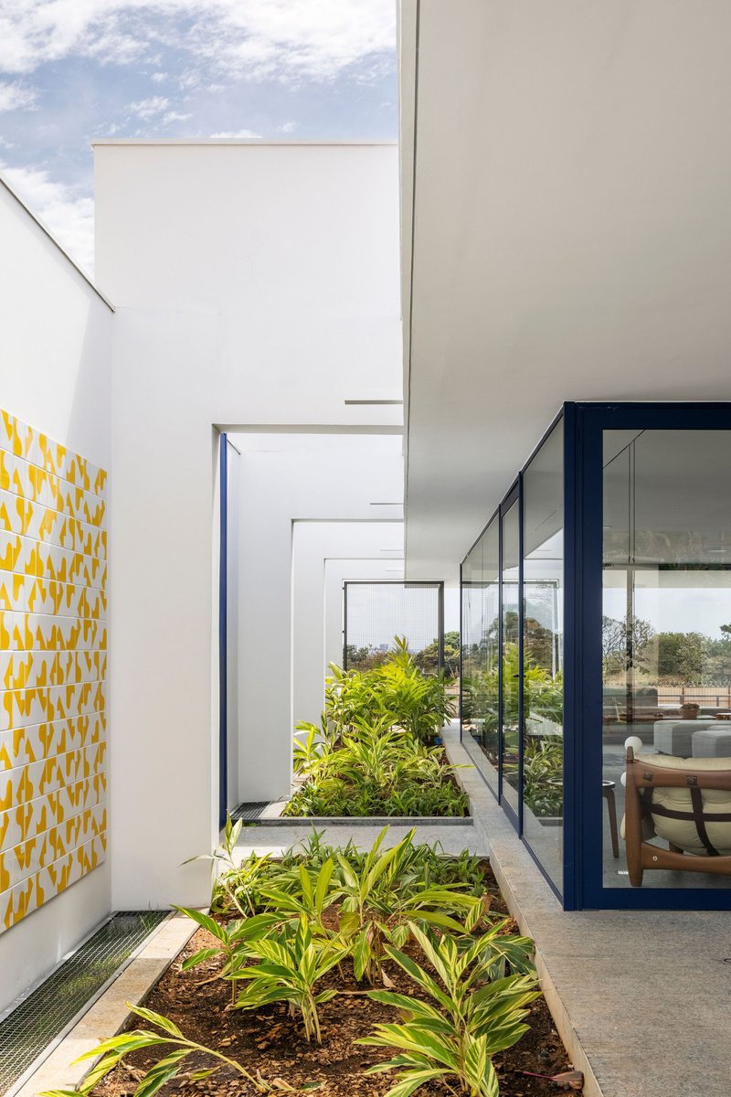 Internal courtyard with planted bed between glazed volumes and yellow geometric tile accent wall