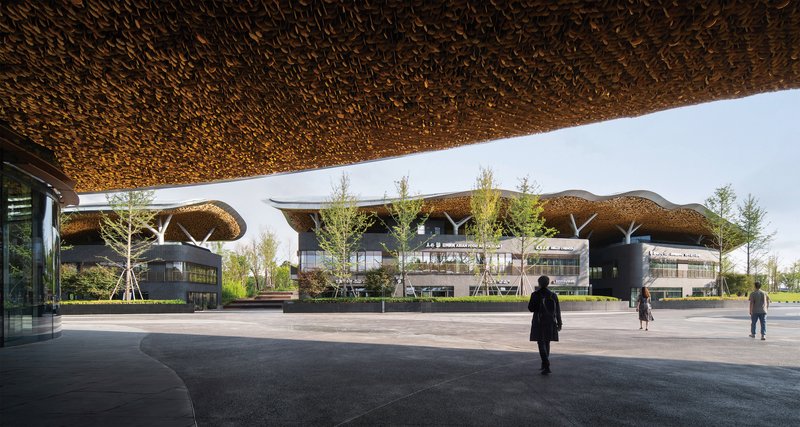 CSWADI Sculpts a Cloverleaf Pavilion for Chengdu's 2024 International Horticultural Exhibition