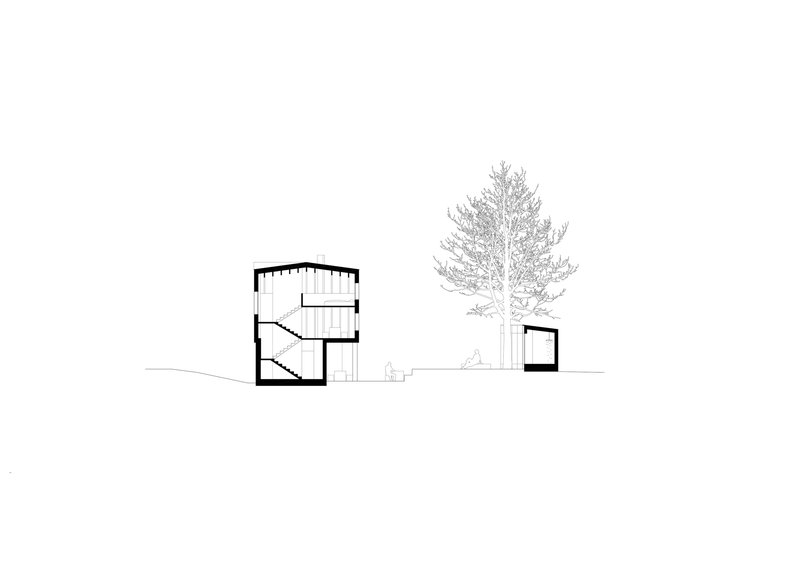 Section drawing showing a two-story volume with internal staircase beside a single-story pavilion and tall conifer