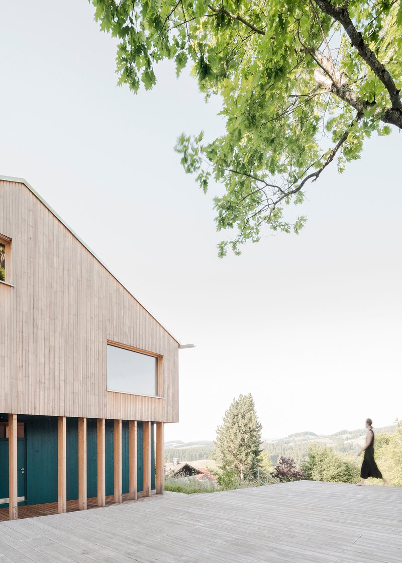 Timber deck terrace with vertical slat screen and overhanging tree branches framing the view