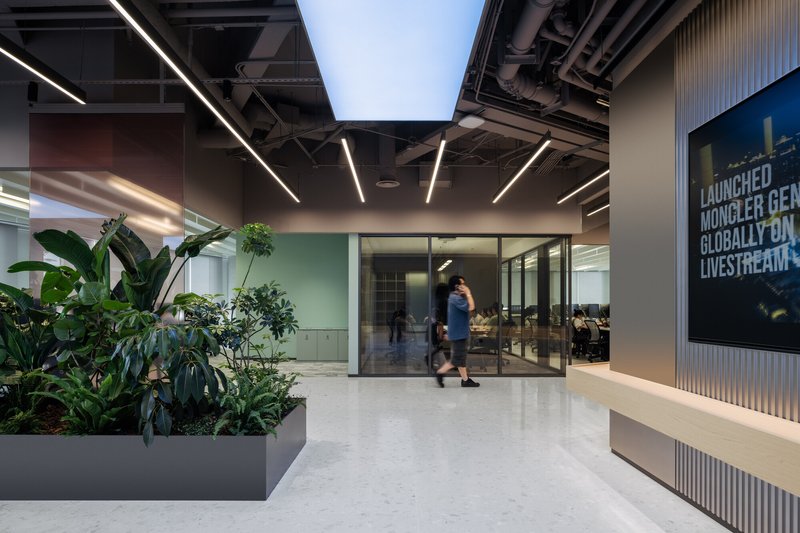 This architectural image showcases a modern office interior with a focus on natural light and greenery. The space features a terrazzo floor, glass partitions, a