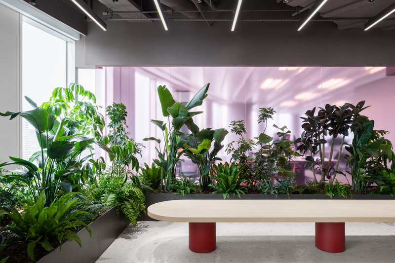 This architectural image showcases a modern office space with a strong emphasis on biophilic design. A lush plant wall creates a serene and calming atmosphere,
