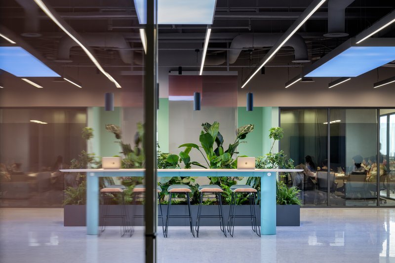 Open office lounge with a high-top table, wire-frame stools and large tropical plants beneath exposed ceiling