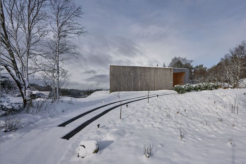 Wood-clad volume with recessed entry set in a snow-covered hillside among bare birches