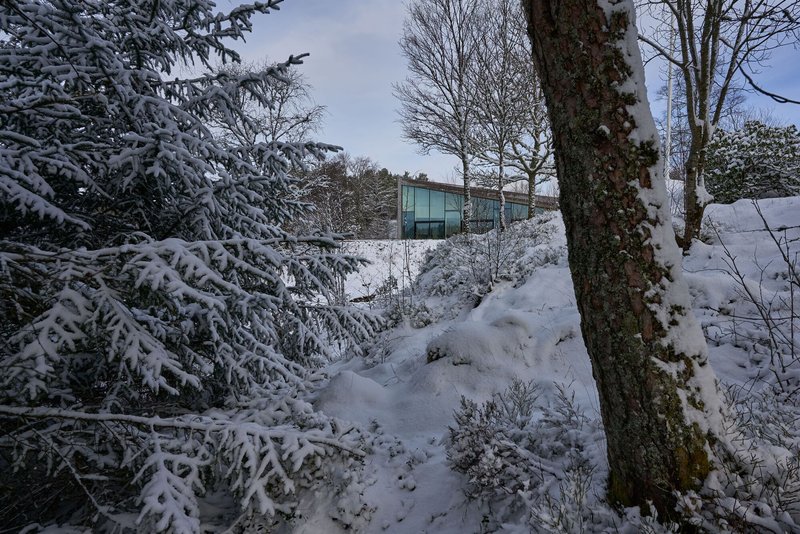 Winter view through snow-covered trees revealing the glazed facade on the hillside