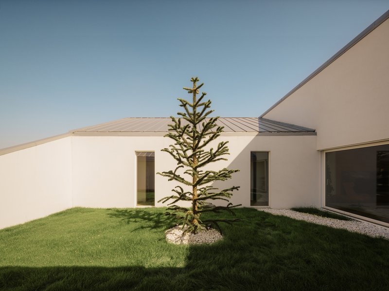 Interior courtyard with a young conifer tree in a gravel ring centered between white rendered wings