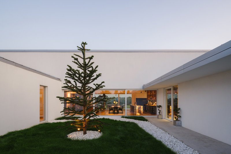Interior courtyard with a single conifer tree centered in lawn and white gravel at dusk