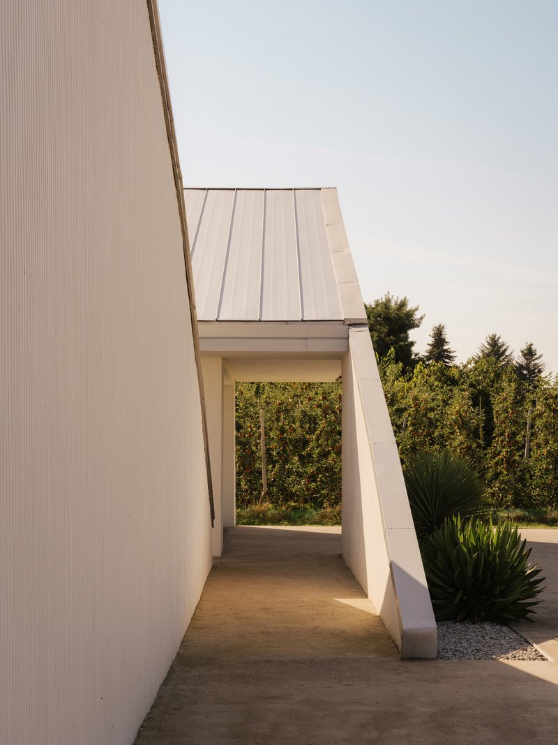 Covered walkway with angled walls leading to glazed opening framed by vegetation beyond