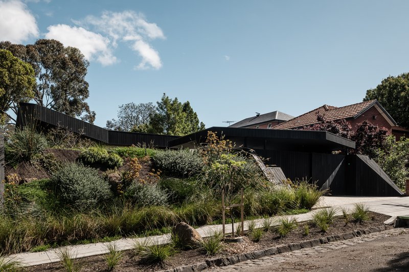Street view of the angled black timber structure emerging from a planted embankment with native grasses
