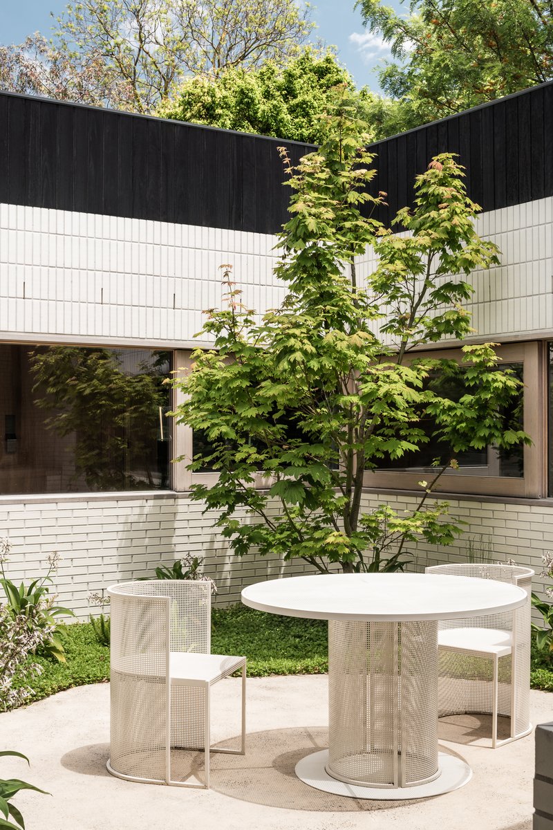 Courtyard terrace with mesh-wrapped dining furniture beneath a Japanese maple and dark timber cladding