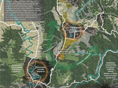 Interspecies Refugium: A Sustainable Architecture Proposal Reimagining Koala Rehabilitation in Australia