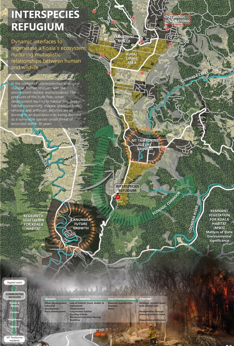 Interspecies Refugium: A Sustainable Architecture Proposal Reimagining Koala Rehabilitation in Australia