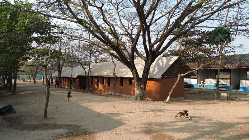 Curved rammed earth wall with circular openings beneath a pitched metal roof and bare trees in dry season