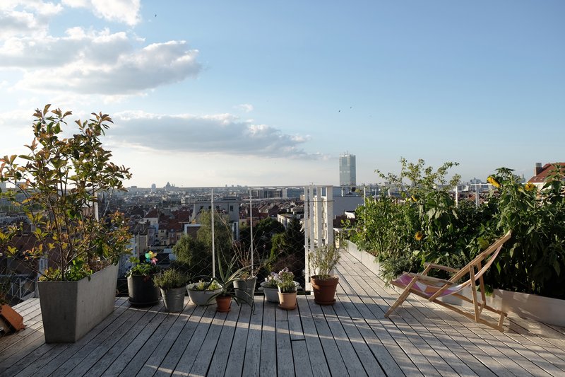 Rooftop terrace with timber decking and potted plants overlooking the city skyline at dusk
