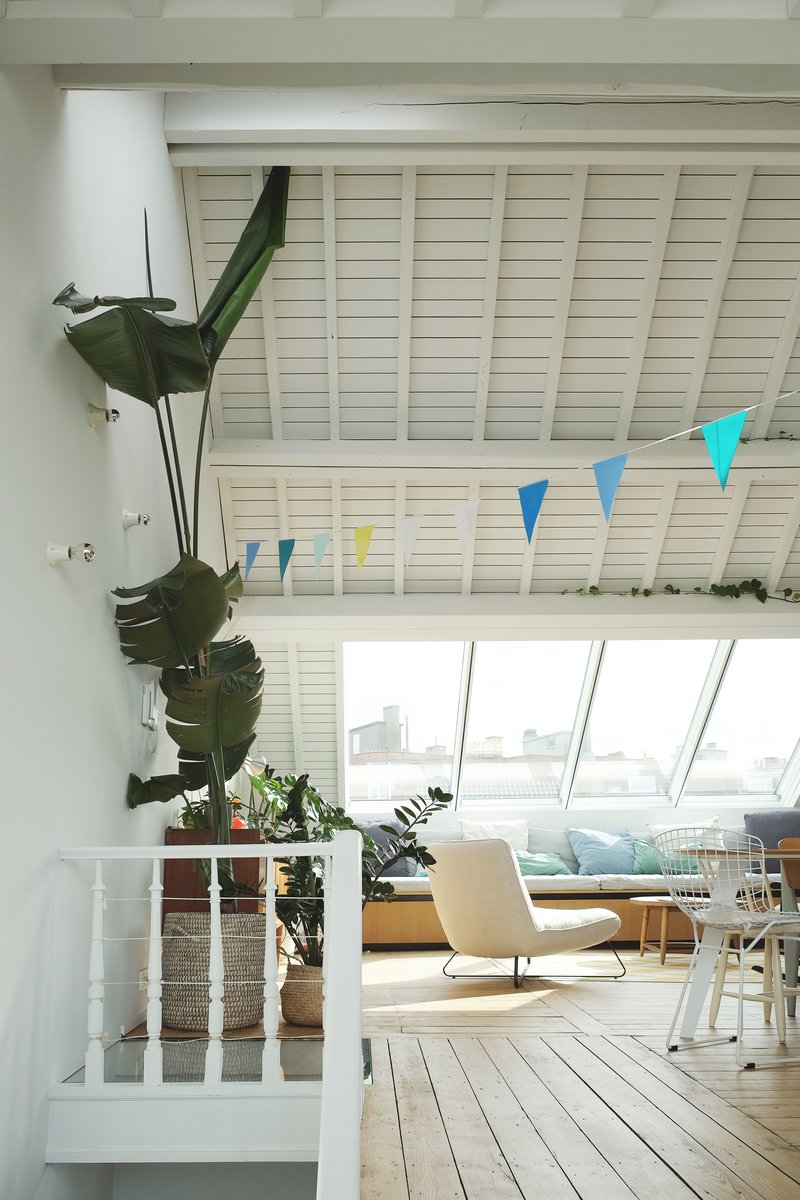 Upper level living space with white beamed ceiling, sloped glazing and potted tropical plants near the stair