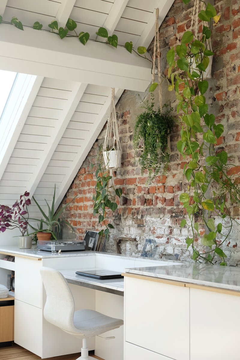 Workspace with white desk against weathered brick wall supporting climbing plants and hanging pots