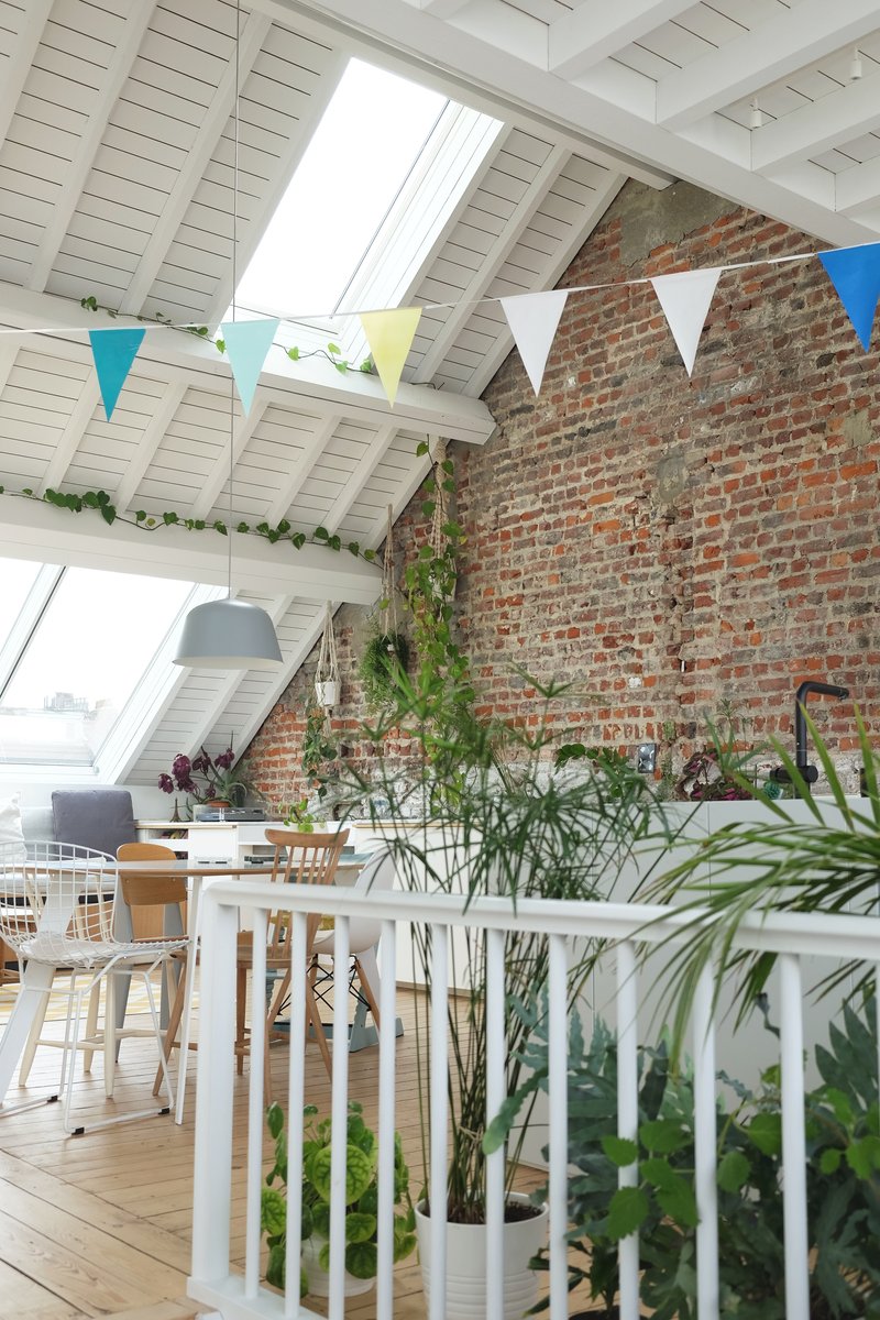 Interior view of pitched roof space with white-painted rafters, exposed brick wall and hanging plants