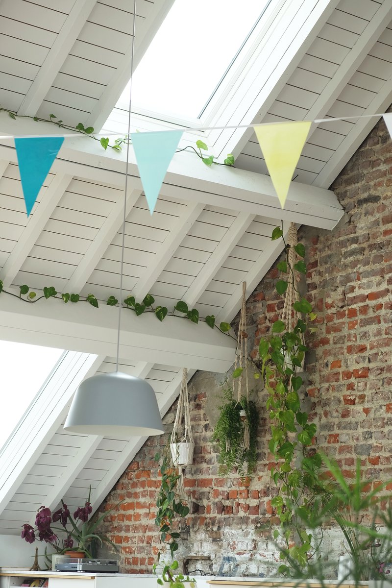 Detail of sloped timber ceiling with skylight, bunting and climbing vines against exposed brick
