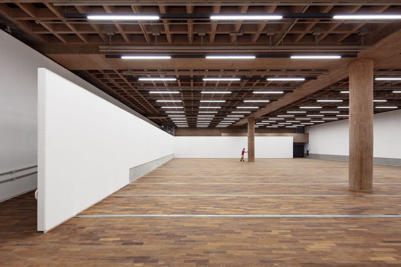 Open gallery space with timber coffered ceiling, integrated lighting strips, and a lone visitor on wood floors