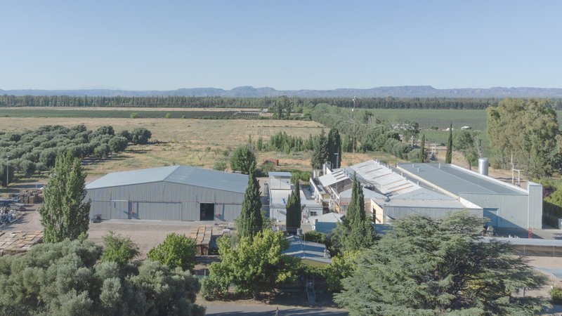 Drone view showing the industrial shed among cypress trees with distant mountains on the horizon