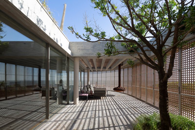 Covered terrace with timber lattice screens casting shadow patterns on the deck beside a planted tree