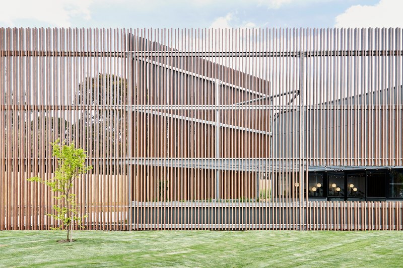 Vertical timber slat facade with triangular cutout pattern above lawn and young tree