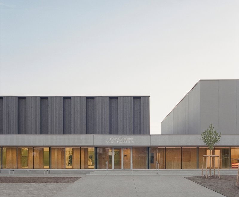 Two-volume facade with ribbed upper cladding and full-height glazed base with young sapling at dusk