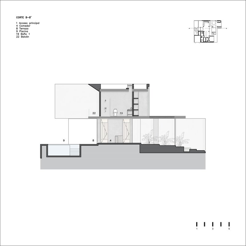 Section drawing revealing sunken entry, multilevel interior spaces and a planted side terrace