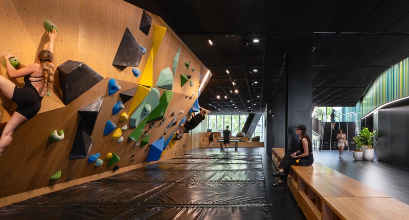 Bouldering wall with multicolored holds in double-height space with crash mats and timber paneling
