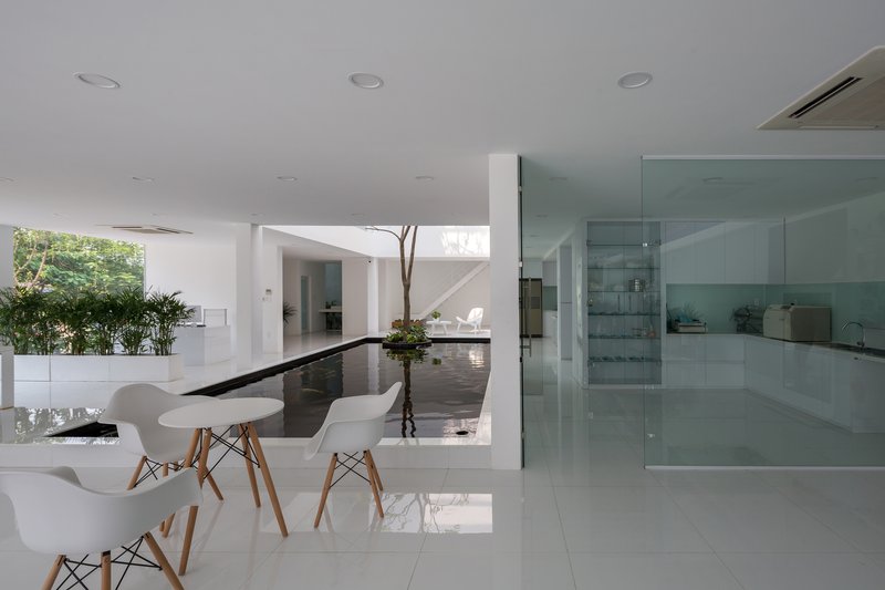 Interior view across polished white floor toward a courtyard with a reflecting pool and tree