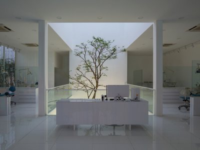 BHA Studio Plants Trees Inside a Vietnamese Dental Clinic to Calm Patients Before They Sit Down