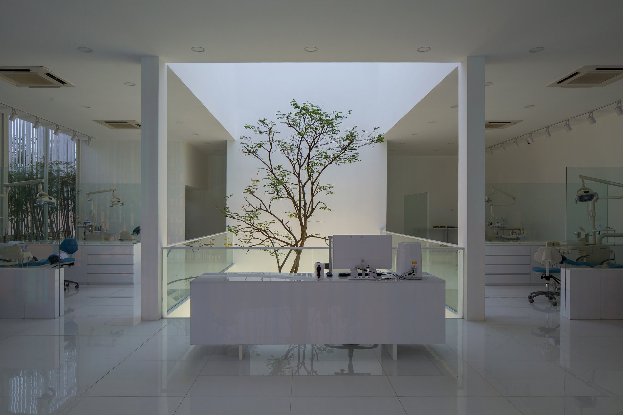 BHA Studio Plants Trees Inside a Vietnamese Dental Clinic to Calm Patients Before They Sit Down
