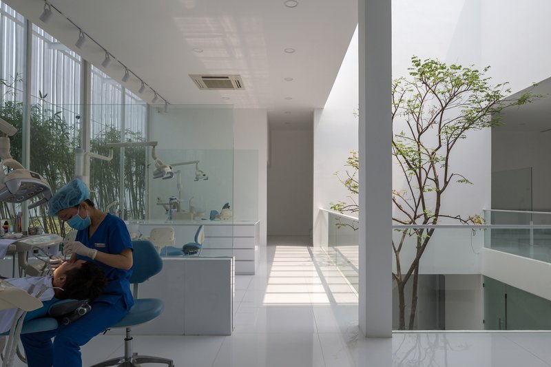 Treatment area with patient in chair beside interior courtyard tree receiving daylight from above