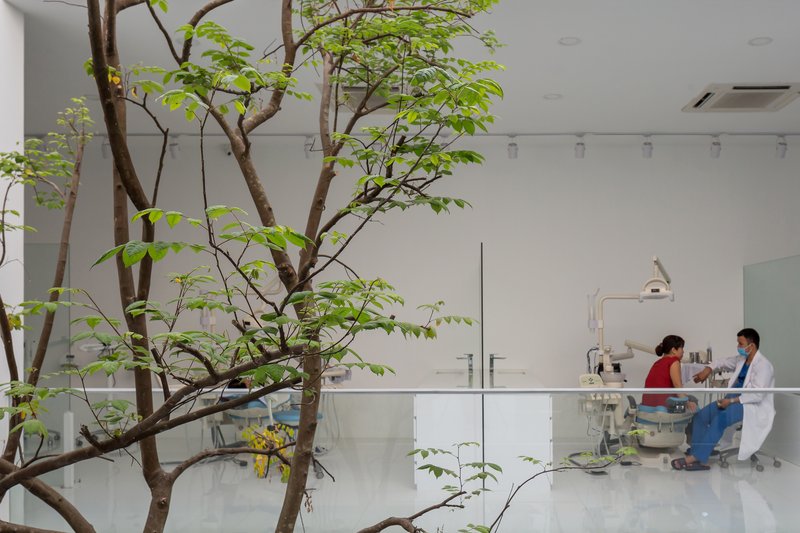 Interior courtyard with a tree growing through the white floor near dental chairs and two people working