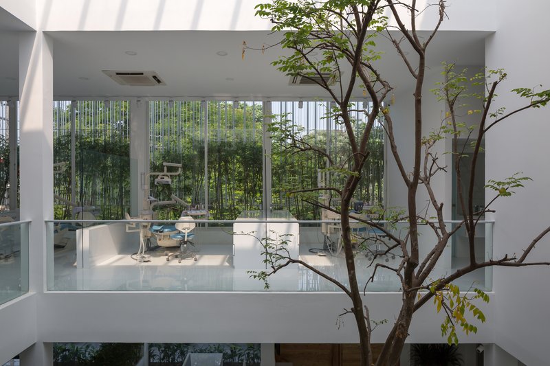 Double-height interior space with a tree rising past glass balustrades and bamboo visible through windows